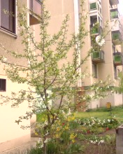 P13-04-10_10.57