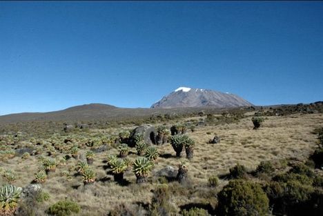 Afrika teteje, a Kilimandzsáró