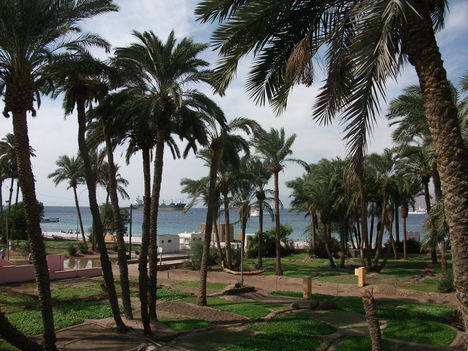 Aqaba 7