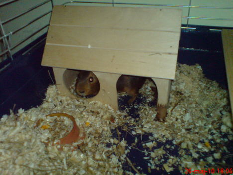 leskelődő