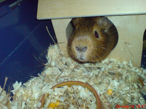 nagyon közel