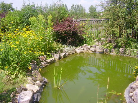 Tavacska