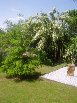 Zen + jezsámen