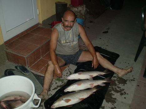 ez adta a duna ...2009 aug.