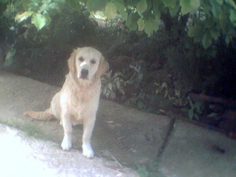 Photo007LILI
