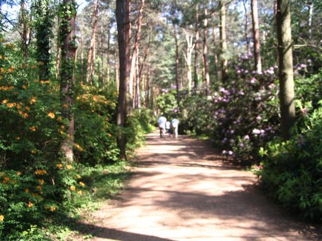 Jeli arborétum túra 120