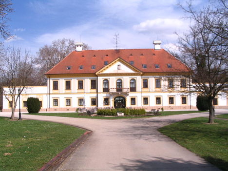 Vasszécseny