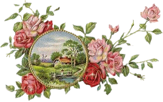 Képeim 13