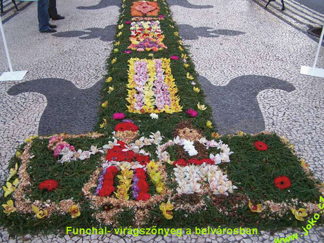 Madeira szigete 7