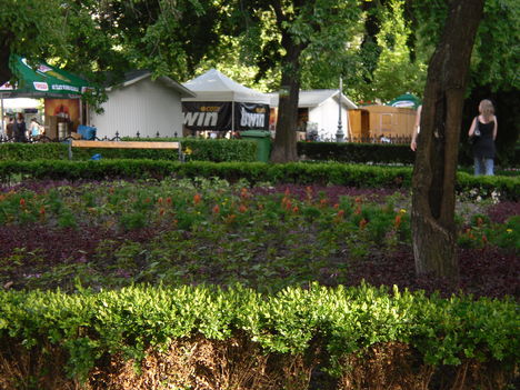 belvárosi park