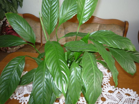 P1020841