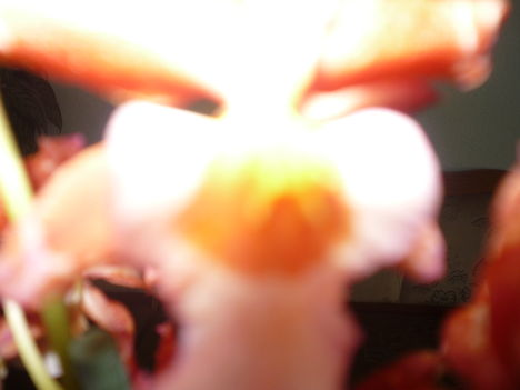 P1020893