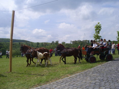 Péliföldszentkereszt 2010.május első vasárnapja 7