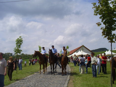 Péliföldszentkereszt 2010.május első vasárnapja 8