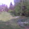 Kép007 kertem tavasszal lentről nézve