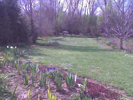 Kép021 kertem tavasszal