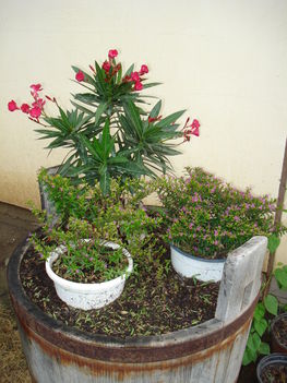 2010junius 044