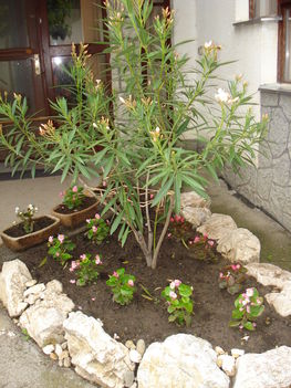 2010junius 046