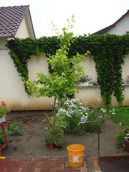 2010junius 048