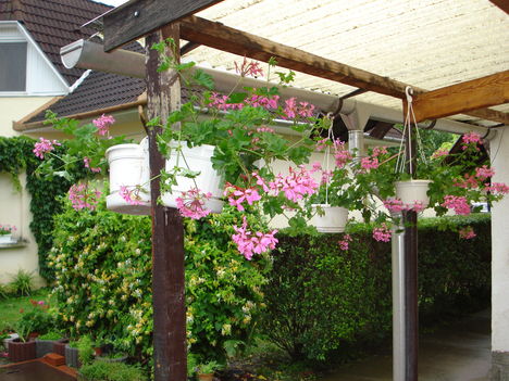 2010junius 052