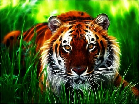3dkep_pic_galeria_idd_3dkepek_idd_5364x46jpg_1280x1024