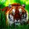 3dkep_pic_galeria_idd_3dkepek_idd_5364x46jpg_1280x1024