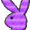 playboy4