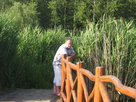 Rólunk 3