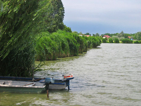 Szeged 15