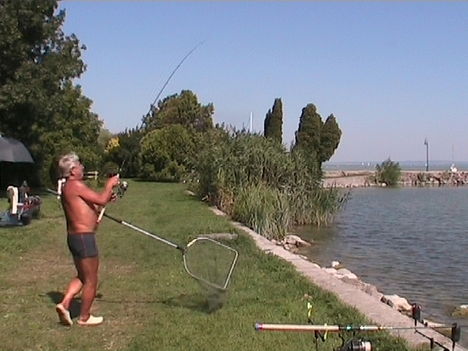 Balaton, Révfülöp 1