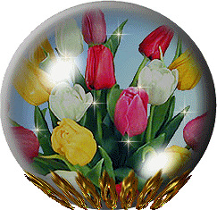 csillogó tulipánok