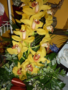 20100626-1 191