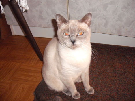 Fruzsina