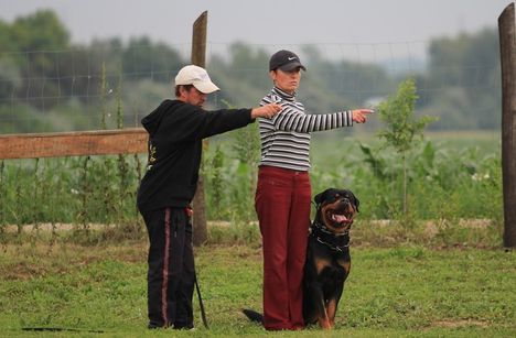 Fellegvár Rott Thunder Vascó