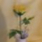 Varine_ili_munkai_853522_67150_s