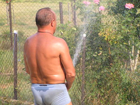 szárazság