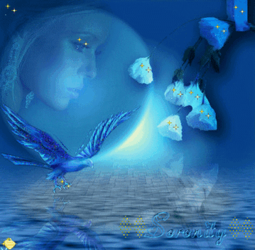 banat-004_434446_66056