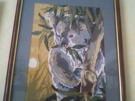 Koala goblen.