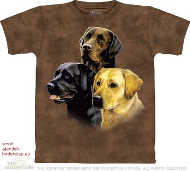 Labrador