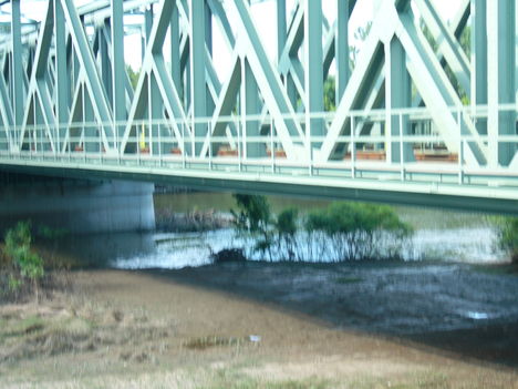 P1010115
