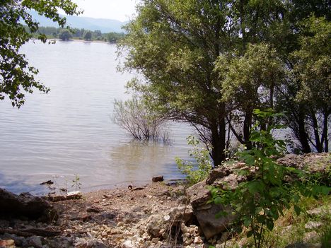 P7020049