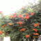 PICT1772