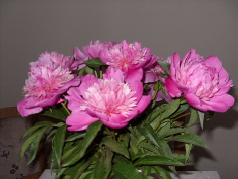 SN850376
