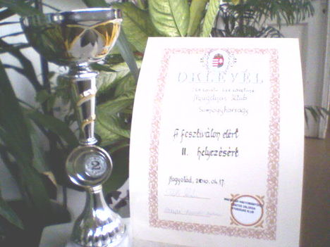 2010 Nagyatád Párommal énekverseny 2.hejezés.