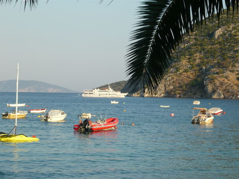 Toló