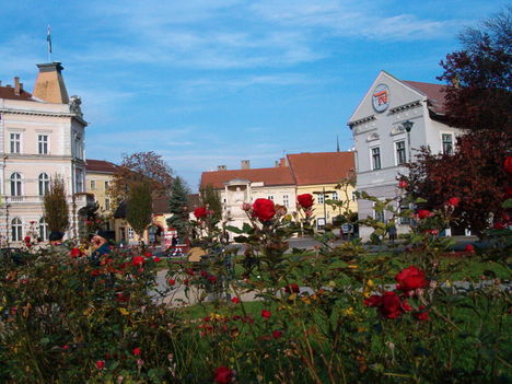 Virágos város-tér