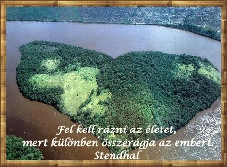 Fel kell rázni az életet, mert különben összerágja az embert