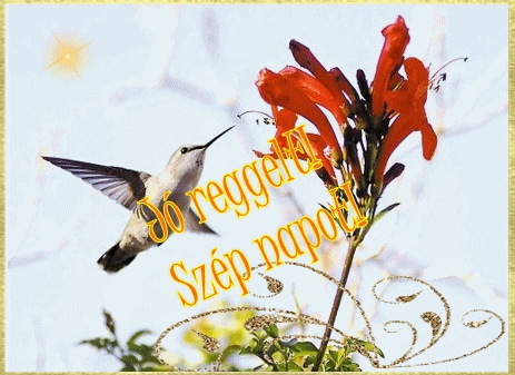 jó reggelt- szép napot