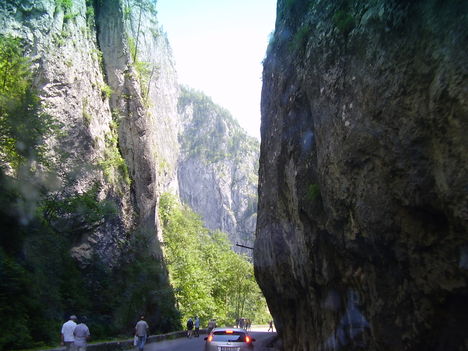 P7290097