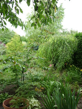 20100717 149